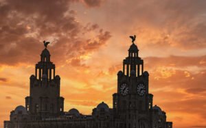The Liver Birds
