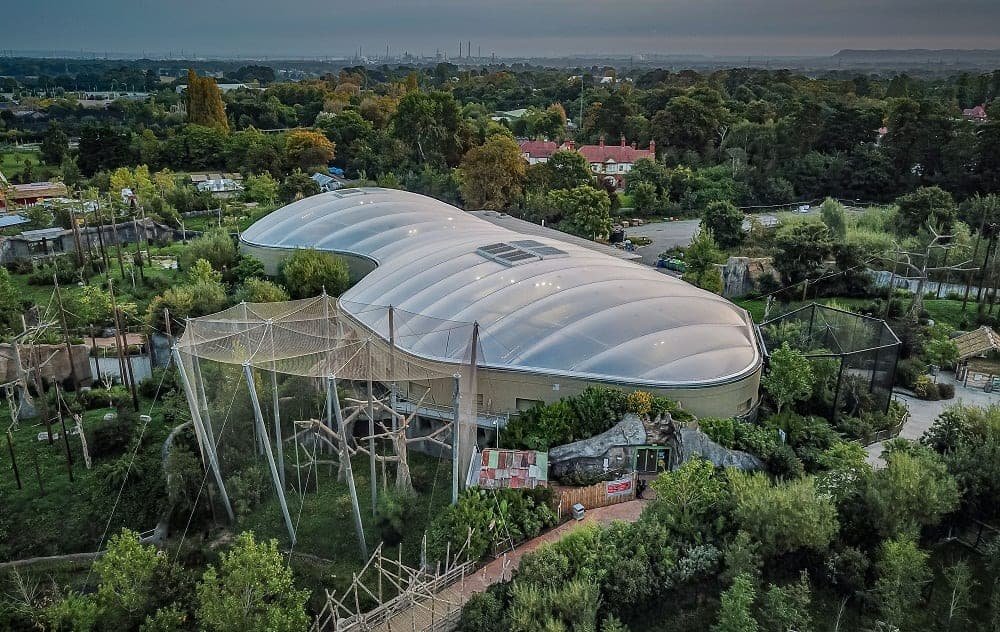 Chester Zoo's zoological building set to reopen