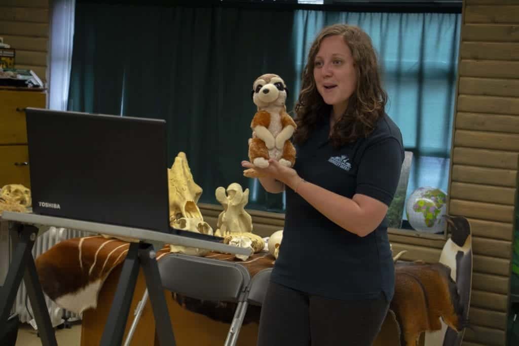 Go Wild at Home with Knowsley Safari - FREE educational LIVE STREAM events and online activities