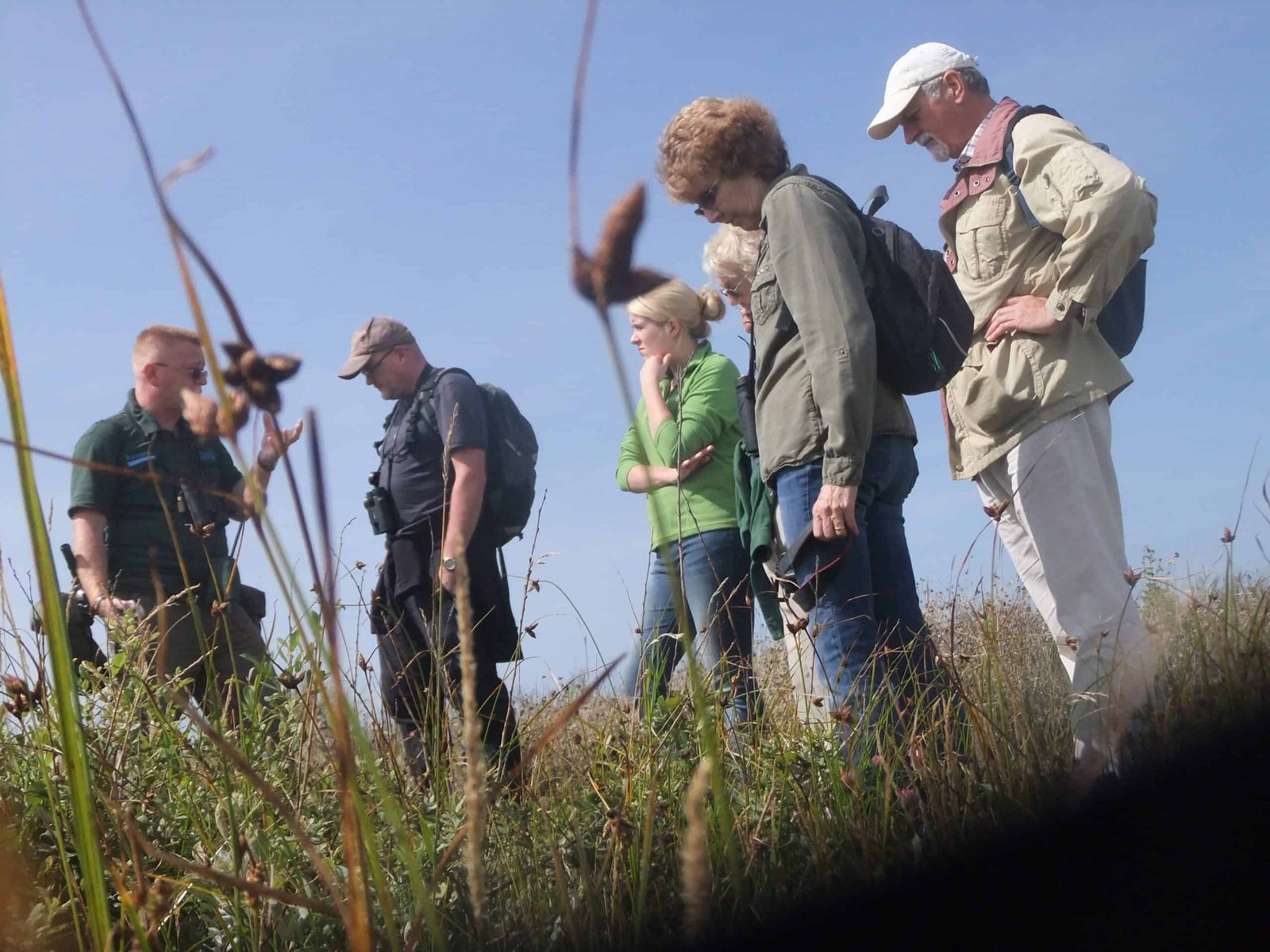Mental Health Awareness Week - Guided walks with Green Sefton
