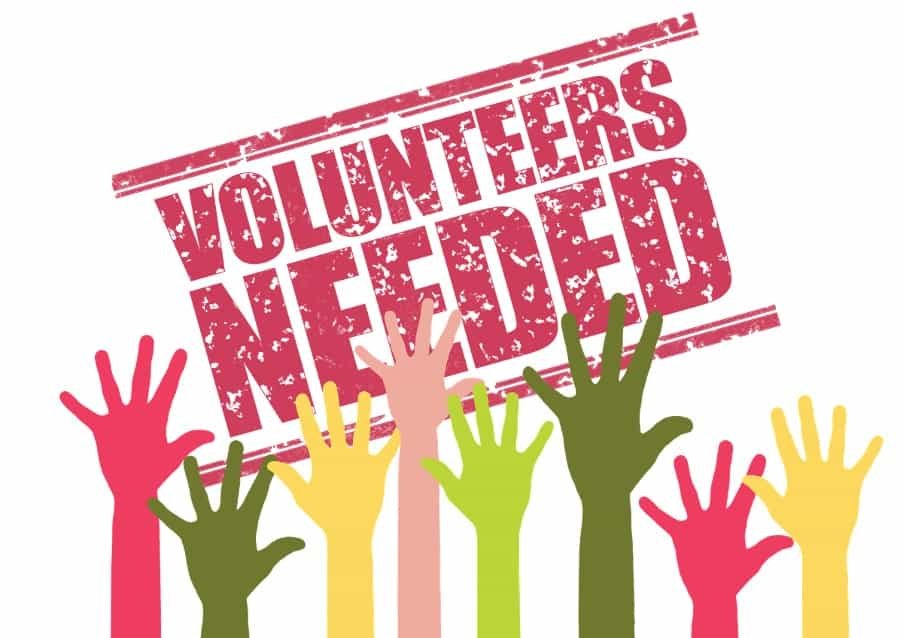 St George's Hall call for volunteers to support new visitor experience