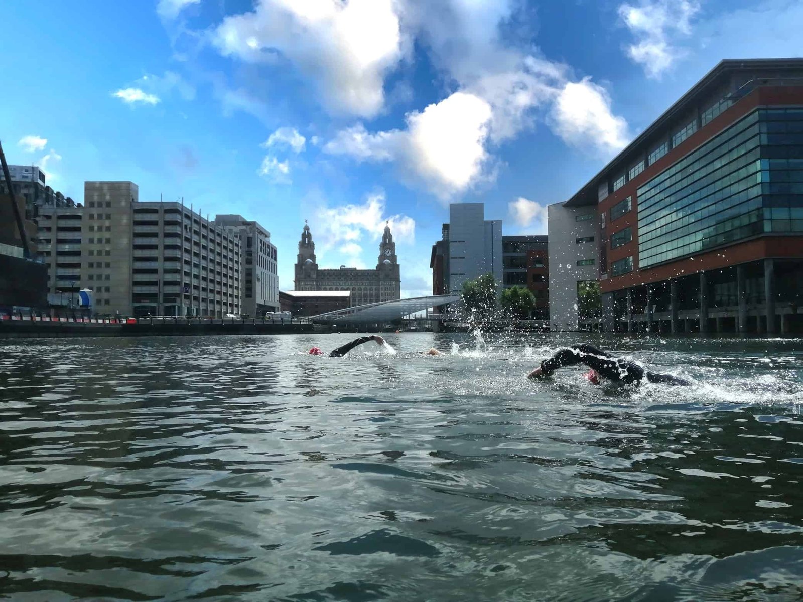 New open water swimming facility heads to Princes Dock