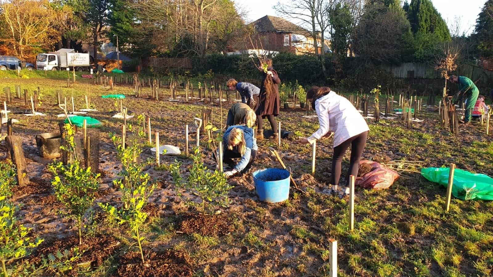 Wirral Council invites volunteers to join mass tree planting events