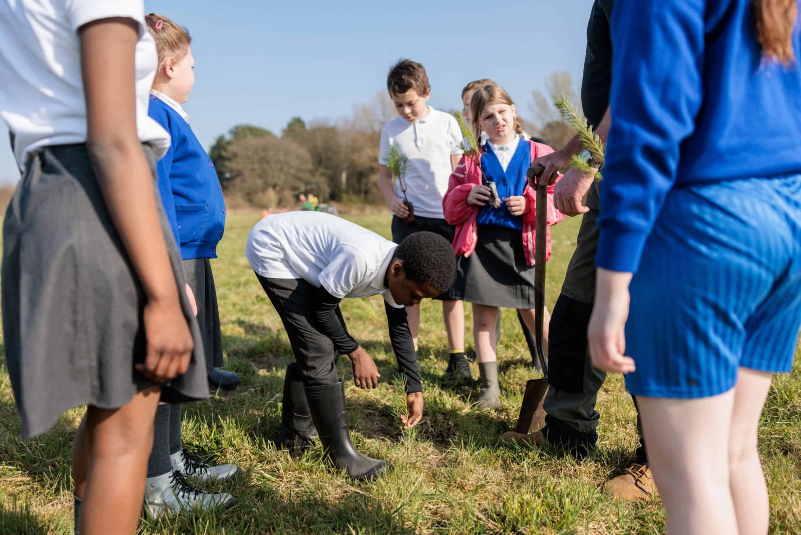 Speke Hall receive help from the community to create new woodland
