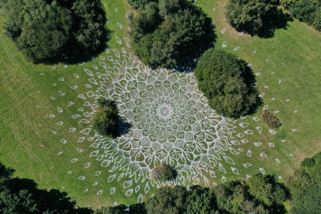 Large-scale public art installation arrives at Halewood Triangle 