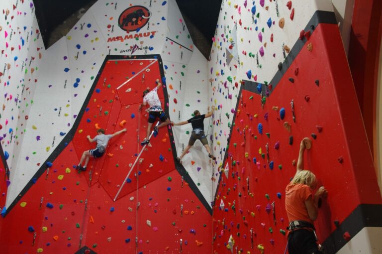 Awesome Walls Climbing Centre 768x510