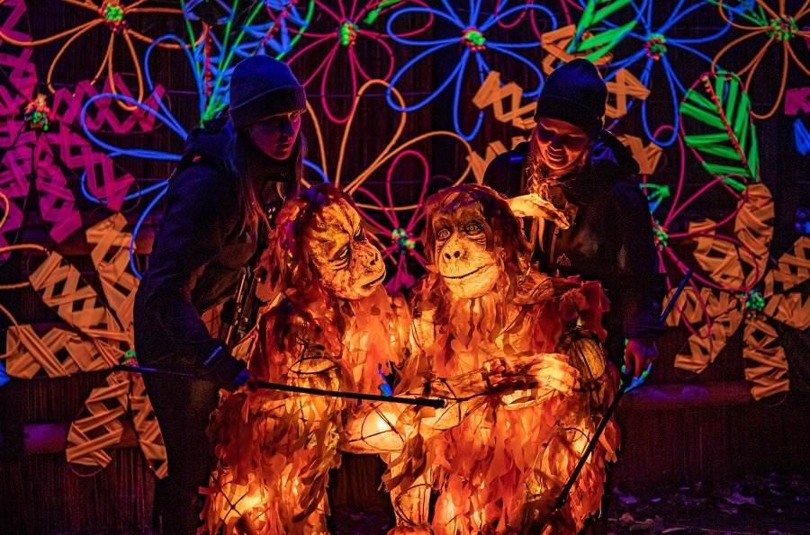 Chester Zoo reveals its biggest and brightest Christmas ever