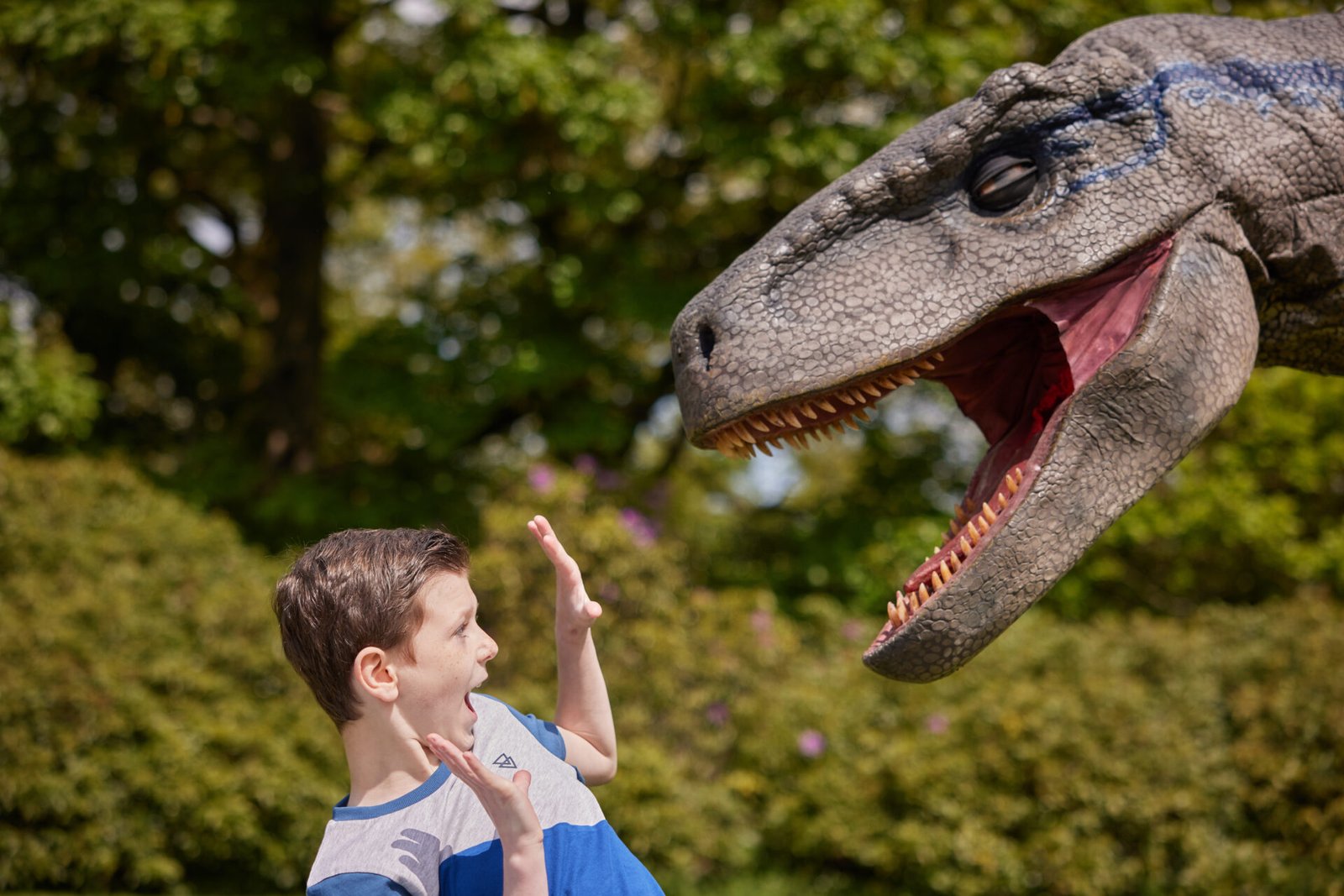 Knowsley Safari to welcome a Unique Dinosaur Experience this summer