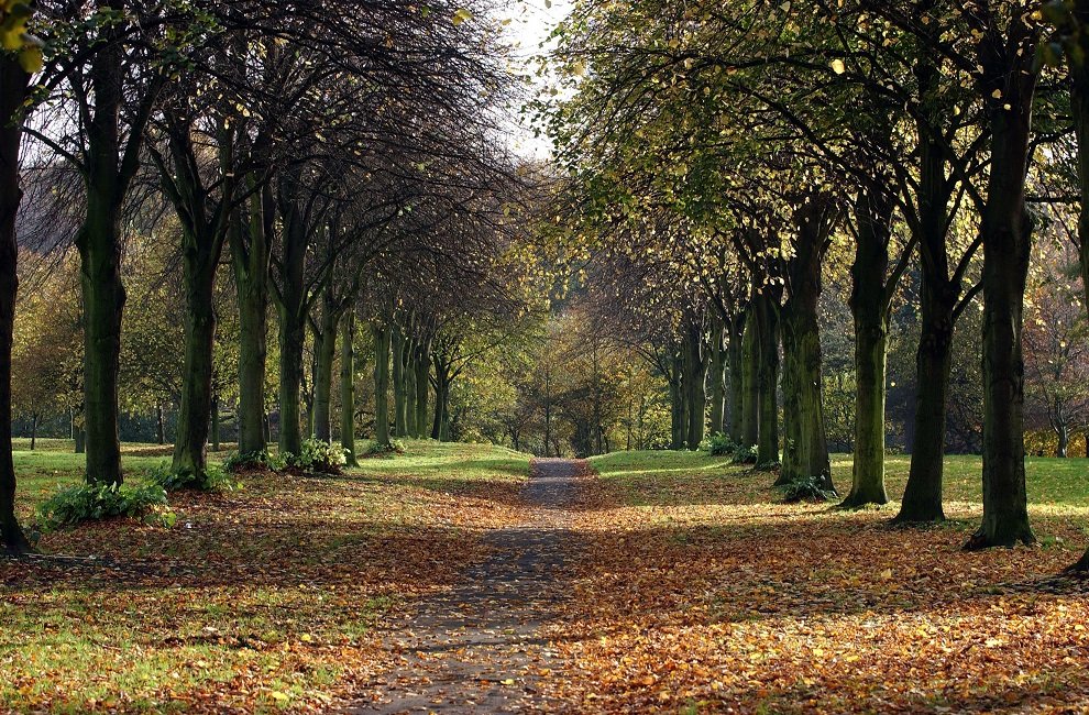 Liverpool parks have picked up national awards