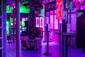 Big Fang Karaoke officially launches in Liverpool