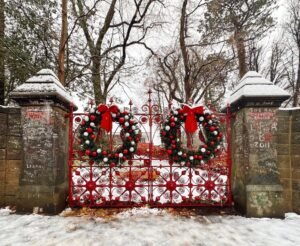 Strawberry Field to celebrate Christmas with a festive concert at St George’s Hall