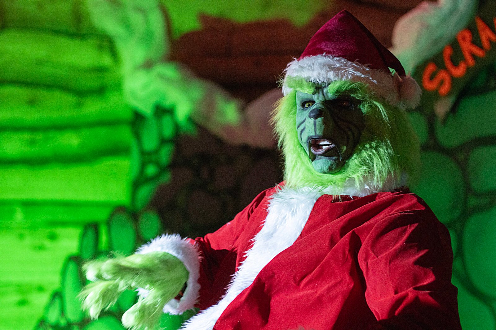 The Magical Woodland hosts spectacular Christmas Light Trail launch event