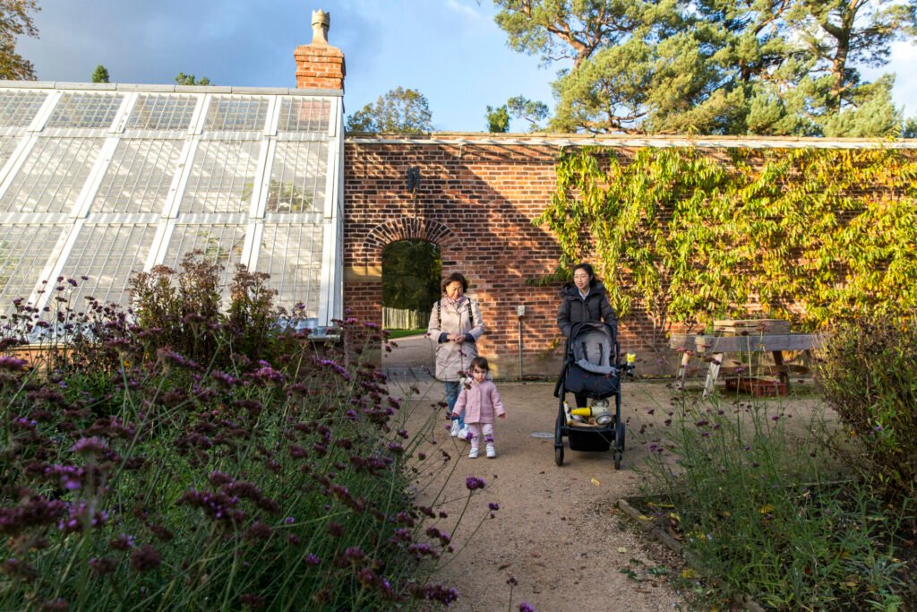 National Trust North West gardens to visit this winter