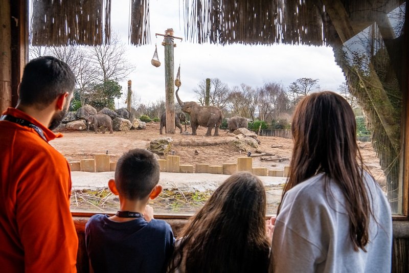 Chester Zoo is the UK's top zoo according to new Tripadvisor rankings