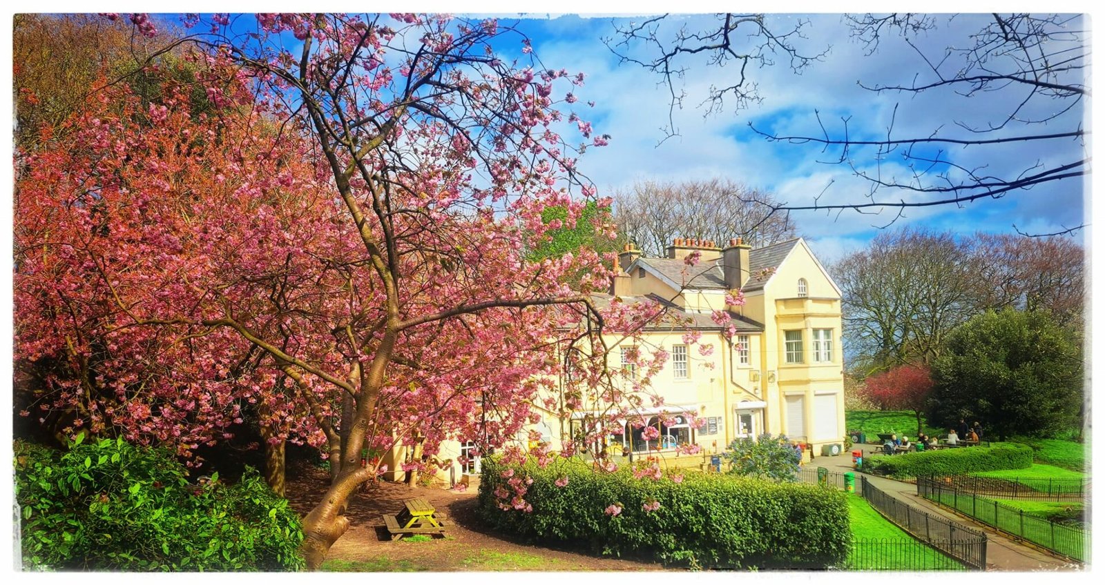 The lovely Vale Park in New Brighton is celebrating its 125th birthday, and Lindsay Hudson and Lorraine Logan, two local business owners, want to use events and workshops to encourage socialising and creativity.