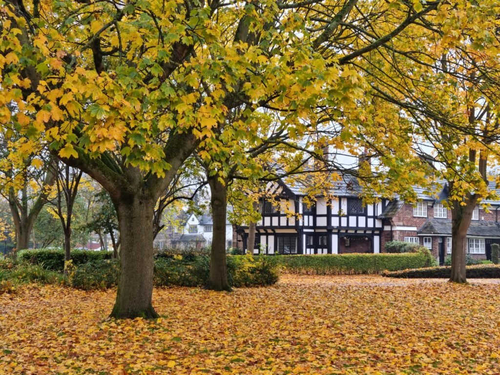 Food and drink festival coming to Port Sunlight this Autumn