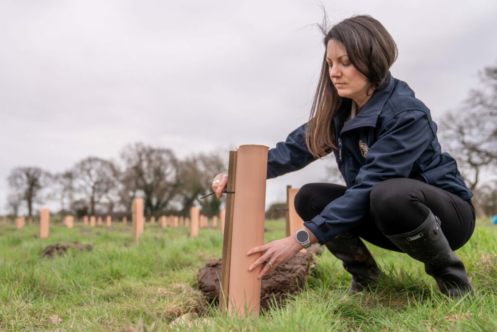 Chester Zoo plants 19,000 new trees in bid to restore Cheshire’s lost woodlands