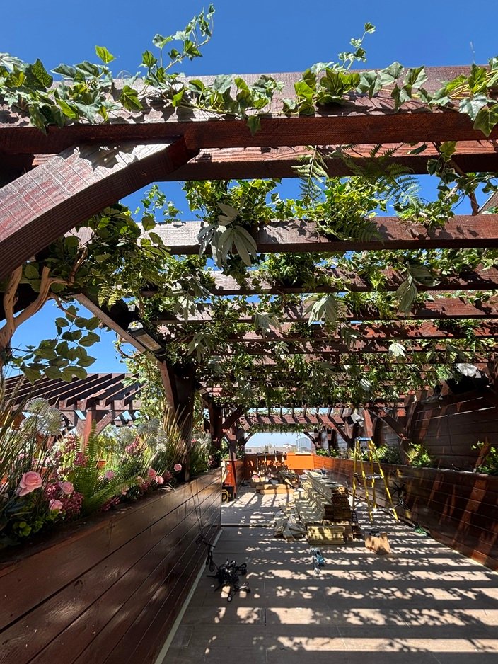 Blackstock Market launches spectacular new Roof Garden