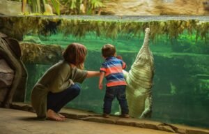 Chester Zoo named England’s most popular attraction outside of London
