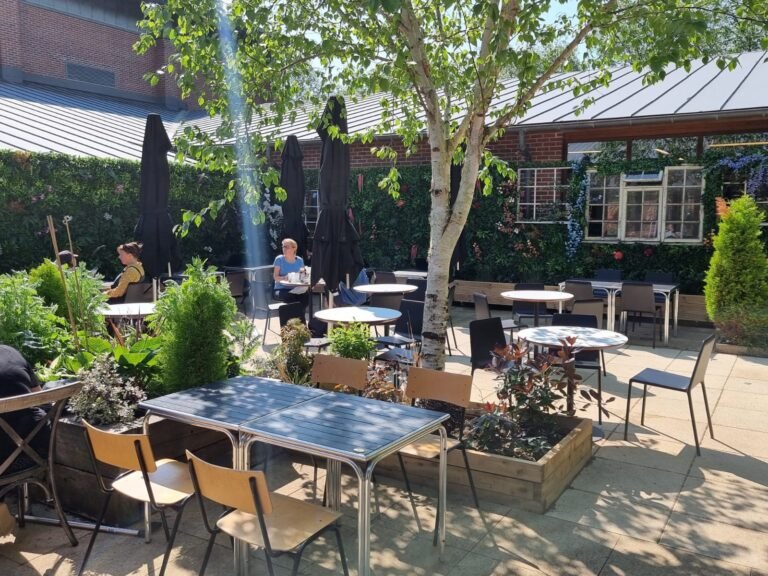 The Wheelbarrow has one of the prettiest sun terraces in Liverpool