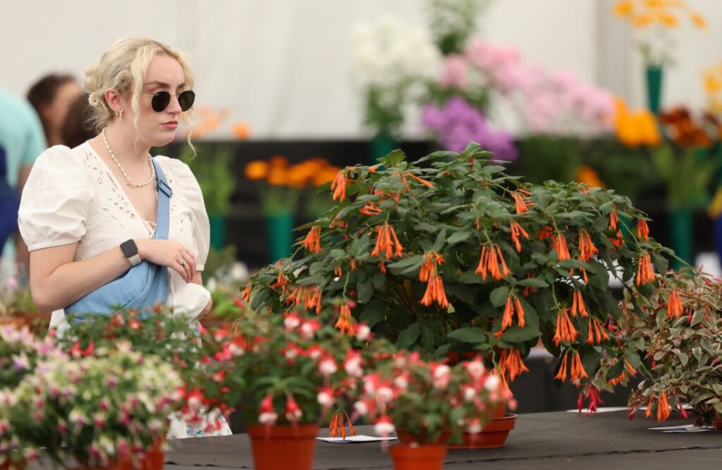 Southport Flower Show set for blooming success this week