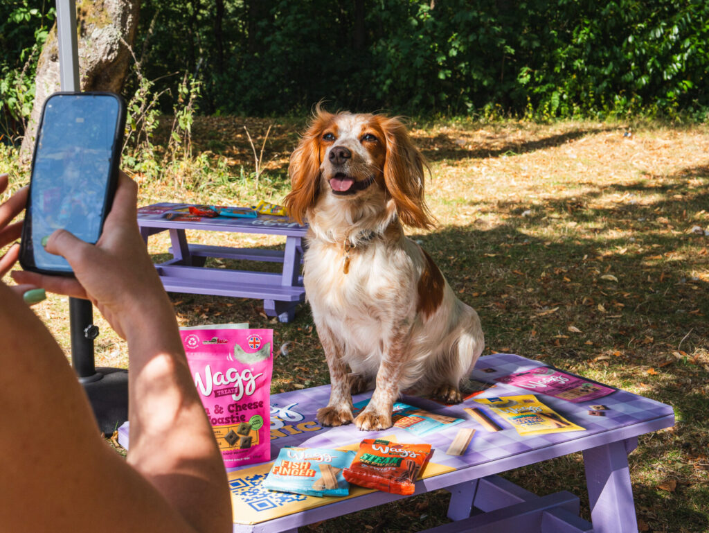 New Dog-Friendly Picnic Benches are coming to a Park in Liverpool