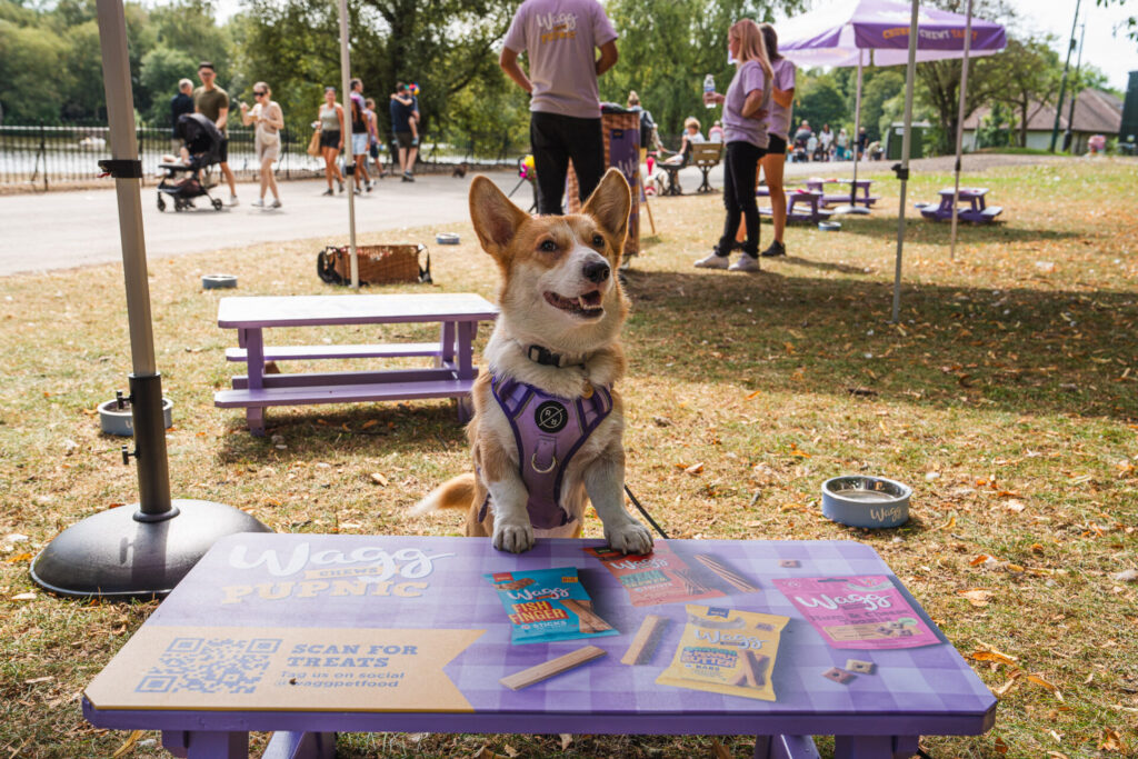 New Dog-Friendly Picnic Benches are coming to a Park in Liverpool