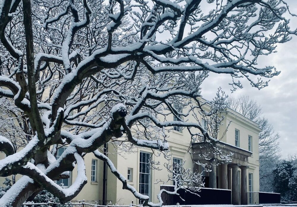 The Reader unveils a new season of events for Christmas 2025