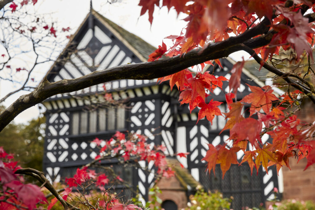 National Trust welcomes autumn with colour, wildlife and seasonal celebrations
