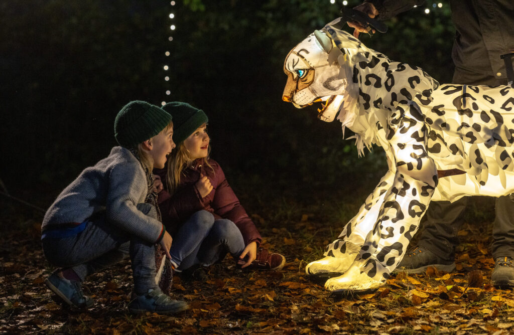 Chester Zoo’s spectacular Christmas light trail is returning this winter