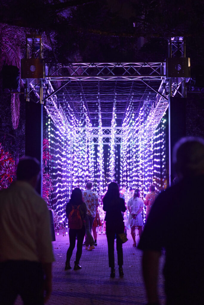 Chester Zoo’s spectacular Christmas light trail is returning this winter