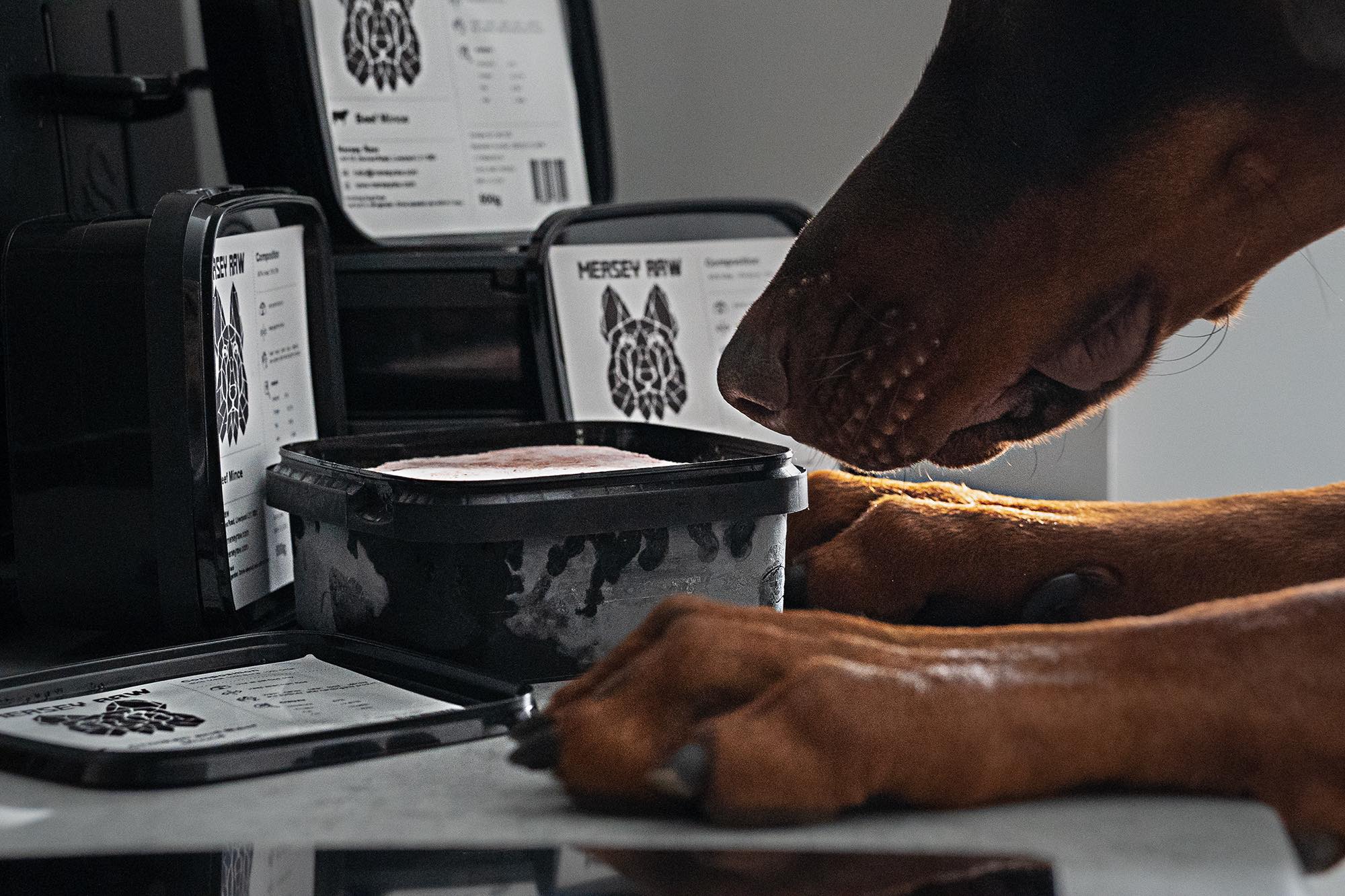 Exploring Raw Dog Food Options for Your Pup in Liverpool