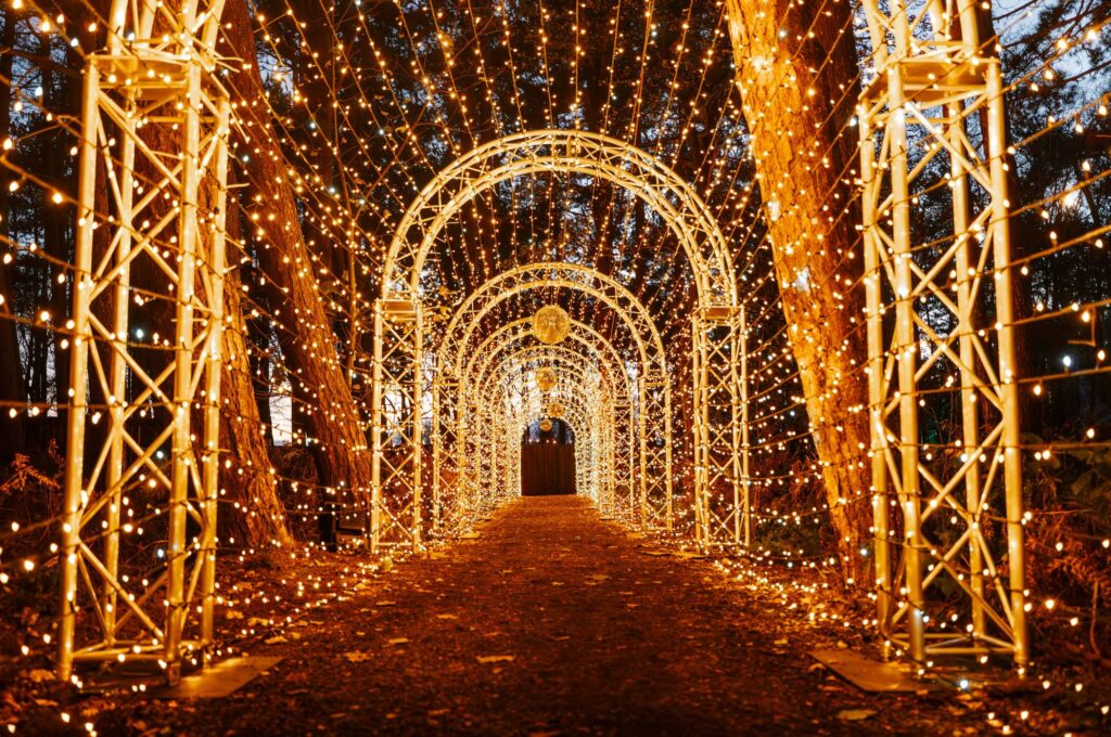 Santa’s Secret Forest returns in 2026 with Limited Early Bird Tickets at 2025 Prices!