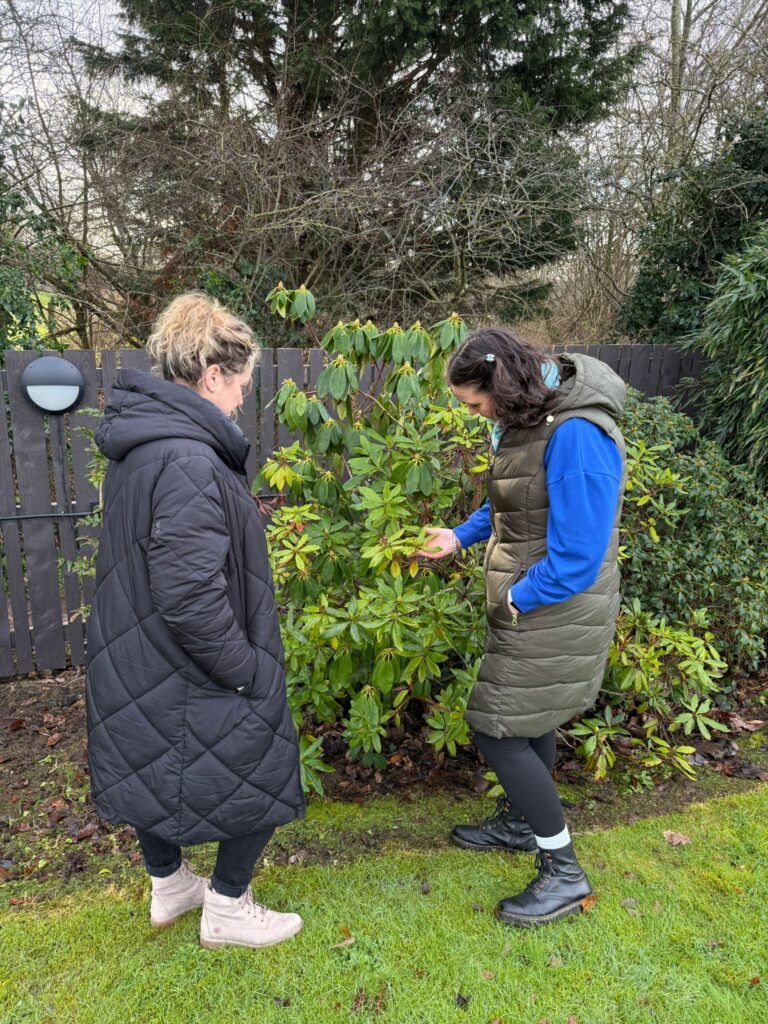 Step by Step: Supporting Families Outdoors at Claire House