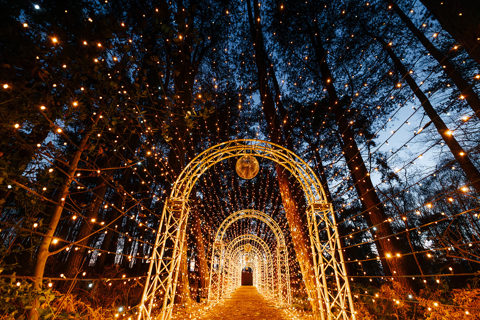 Santa Secret Forest Returns to Liverpool with New Festive Surprises for 2026