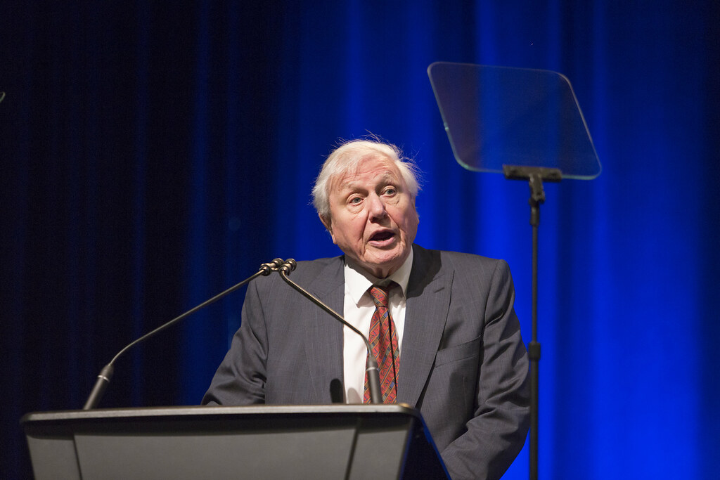 Liverpool Poet and Chester Zoo Unite for Moving Centenary Tribute to Sir David Attenborough