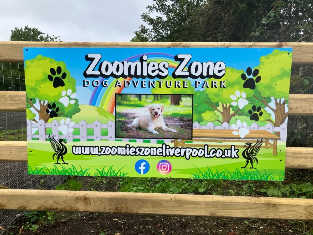 Give your dog space to run free at Zoomies Zone Liverpool