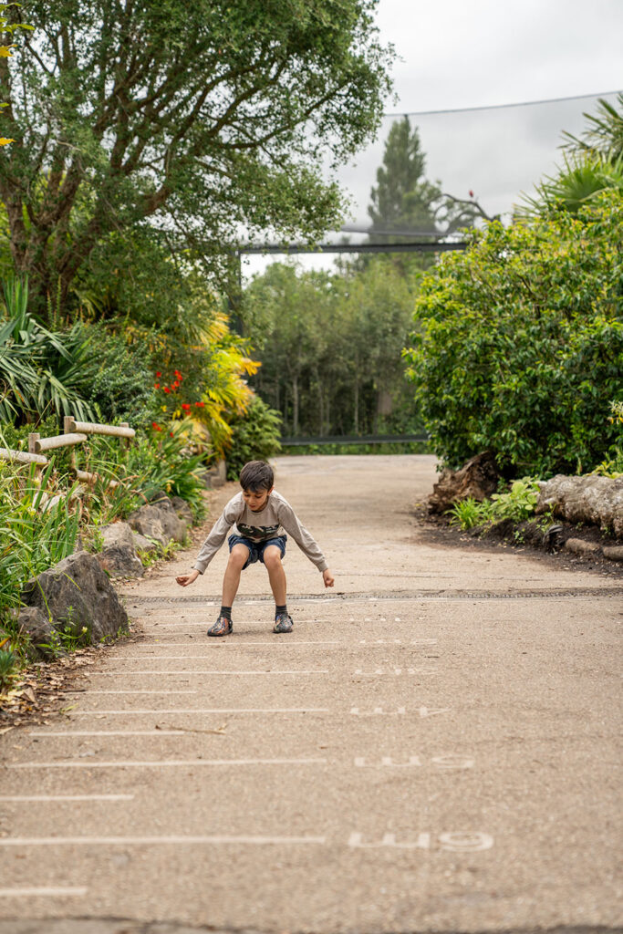 Chester Zoo launches 5,000-mile challenge to protect tigers