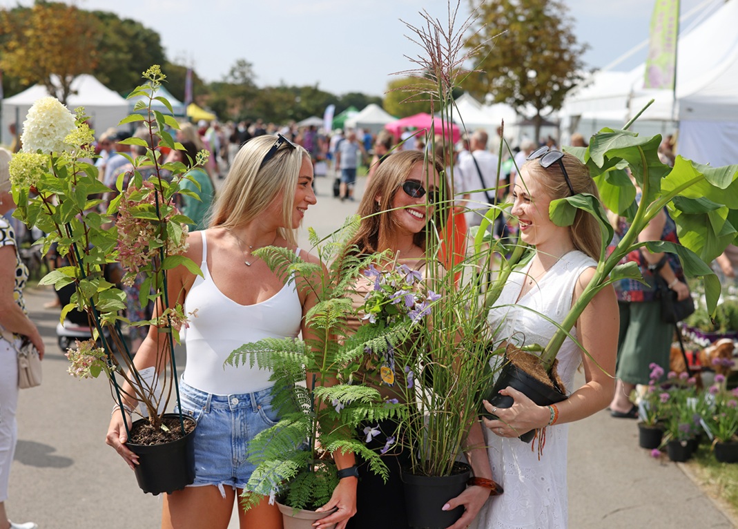 Southport Flower Show 2026 Opens Four Weeks Today