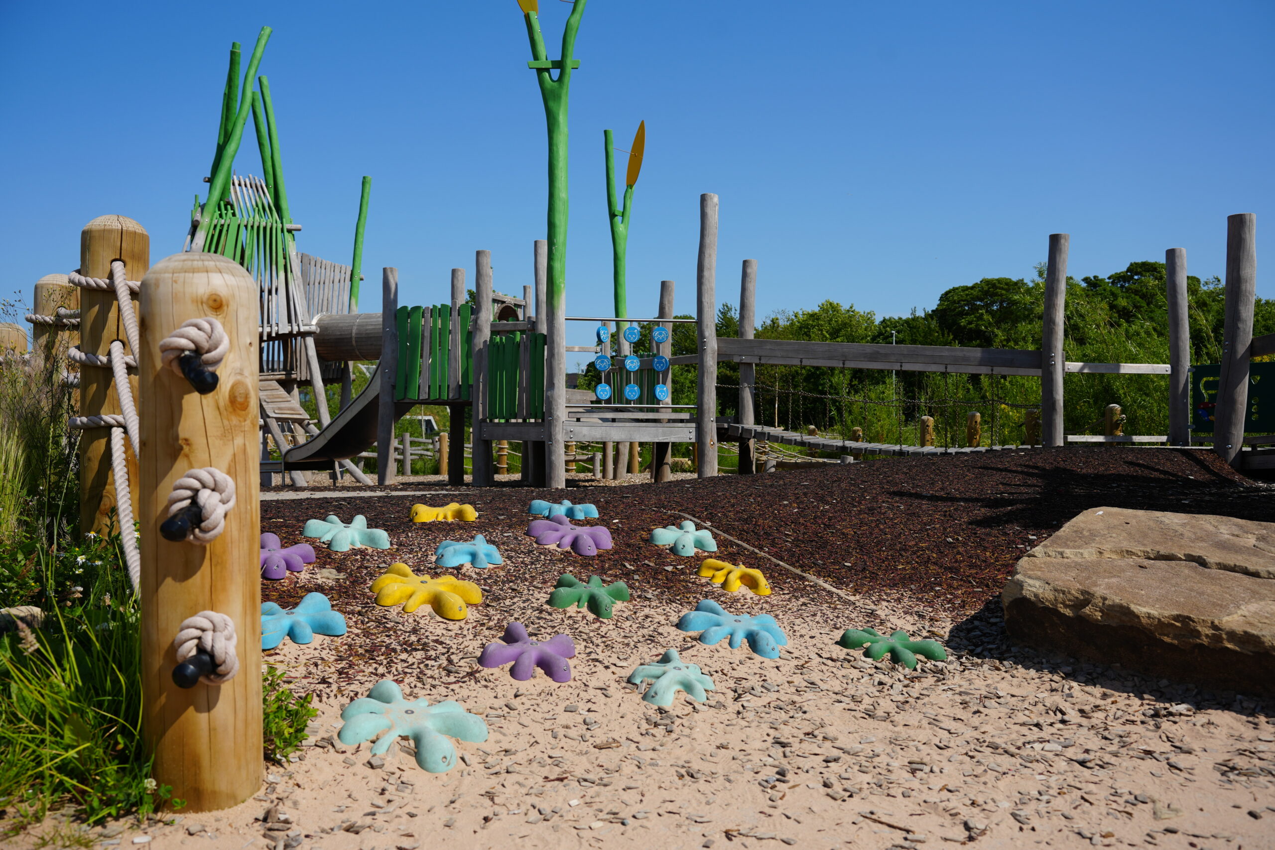 Springfield Park Named One of Country’s Best Green Spaces