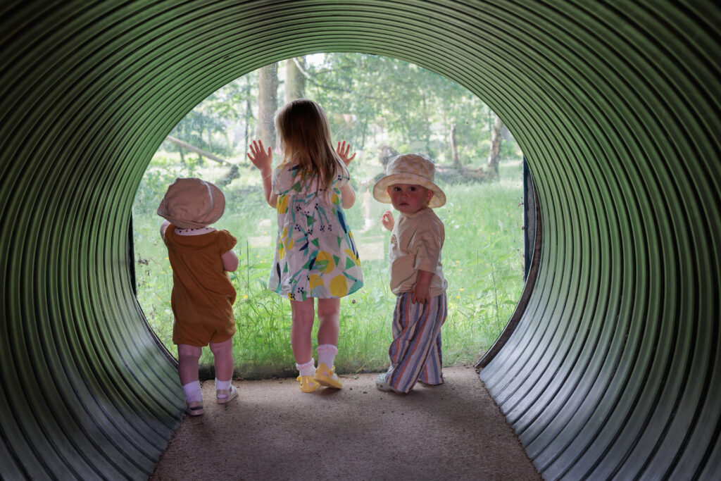 Knowsley Safari launches 30% off flash sale for final week of summer holidays