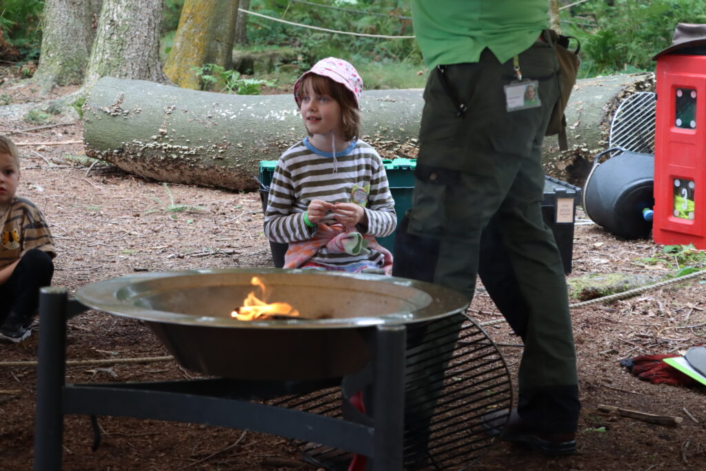 Knowsley Safari launches 30% off flash sale for final week of summer holidays