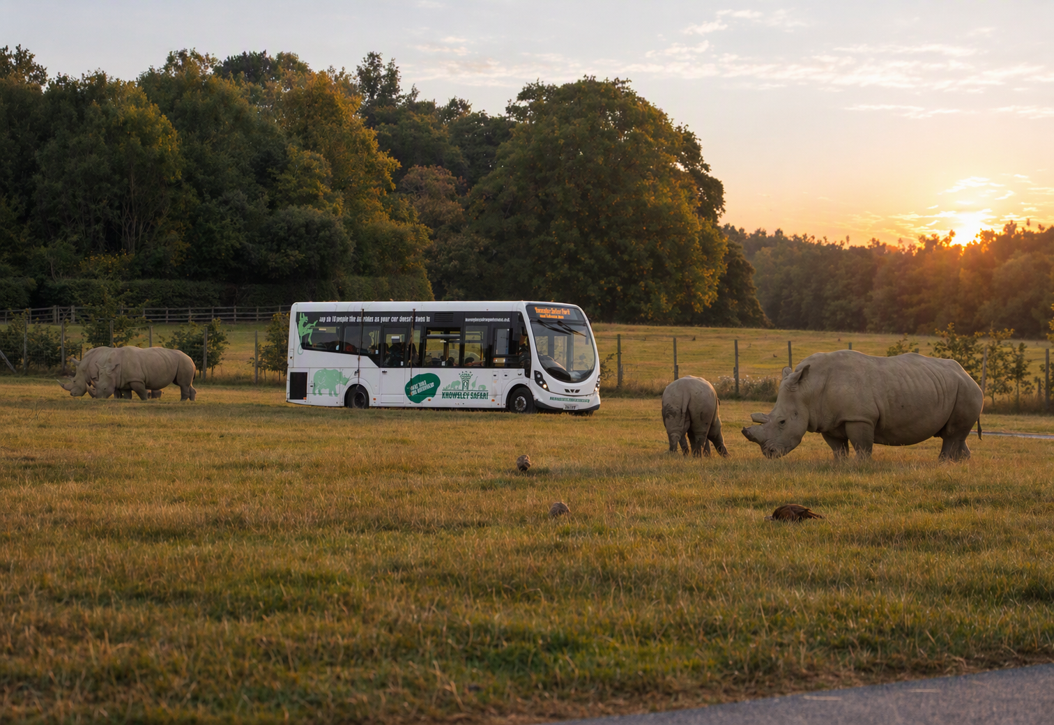 Knowsley Safari launches 30% off flash sale for final week of summer holidays
