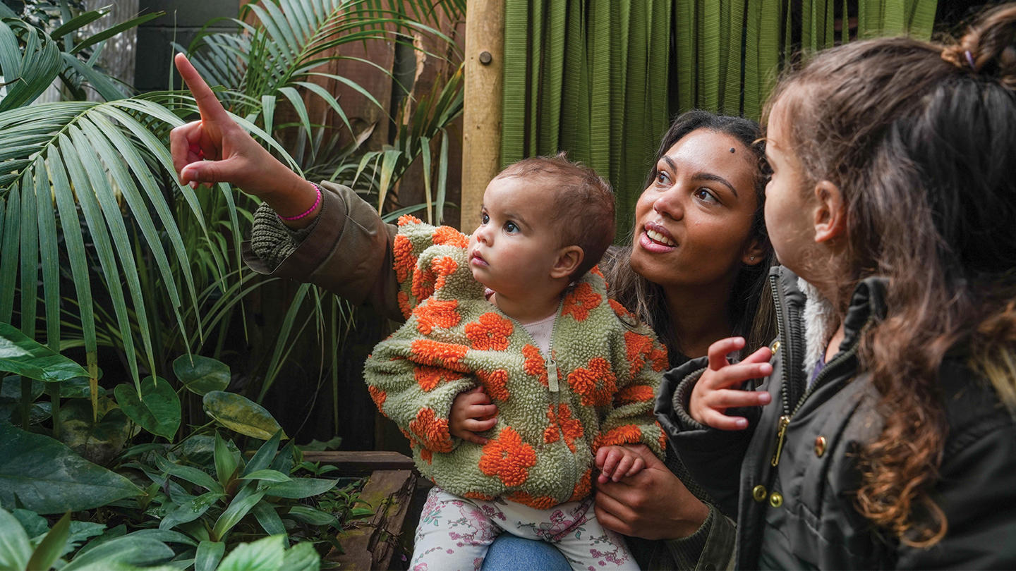 Chester Zoo brings back £10 afternoon tickets for end of summer