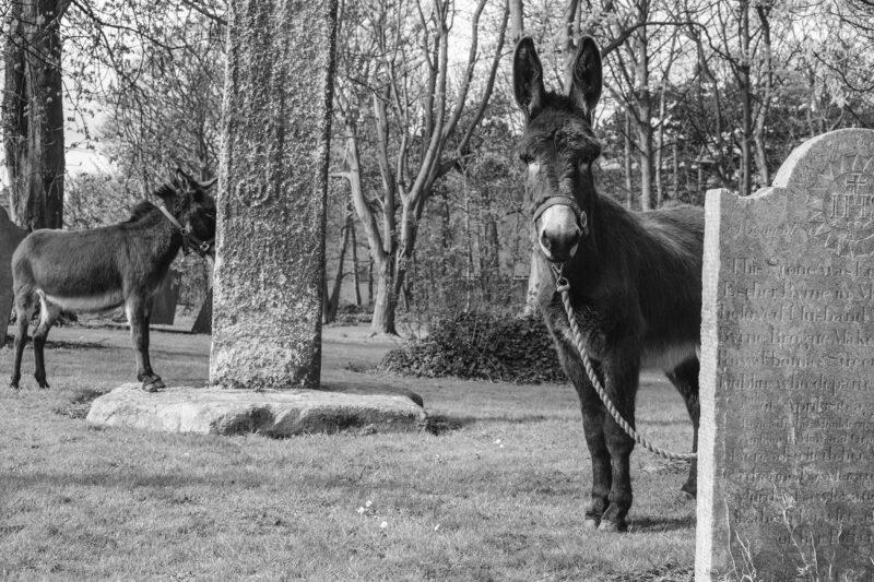 Bluecoat to host major Becky Beasley and Isabel Nolan exhibitions in Liverpool