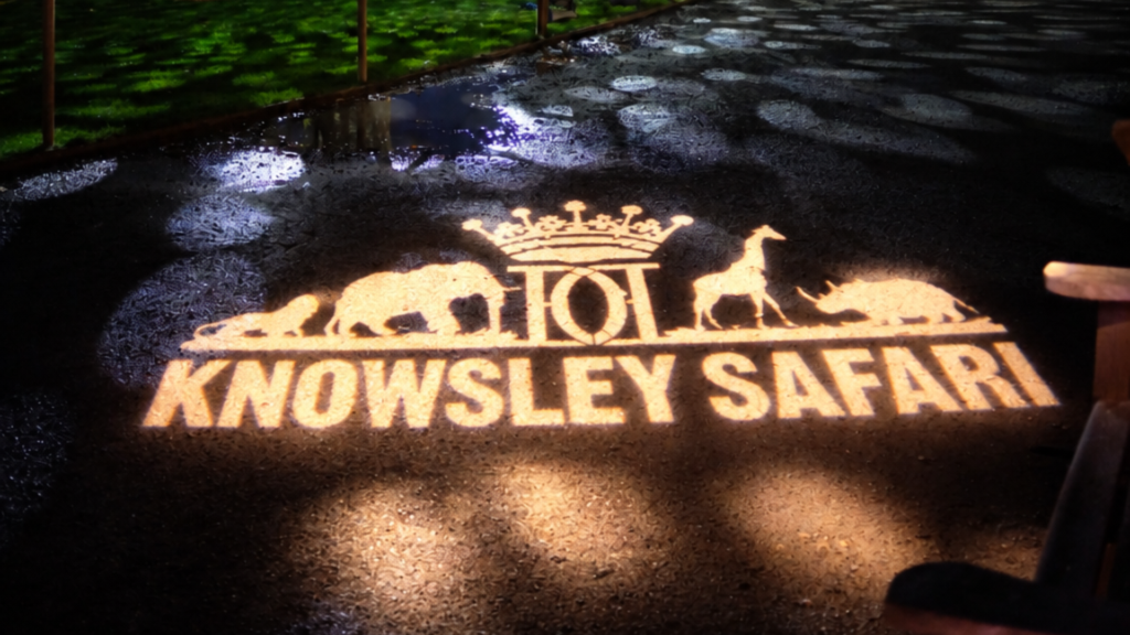 Knowsley Safari’s Enchanted Christmas light trail returns for 2026