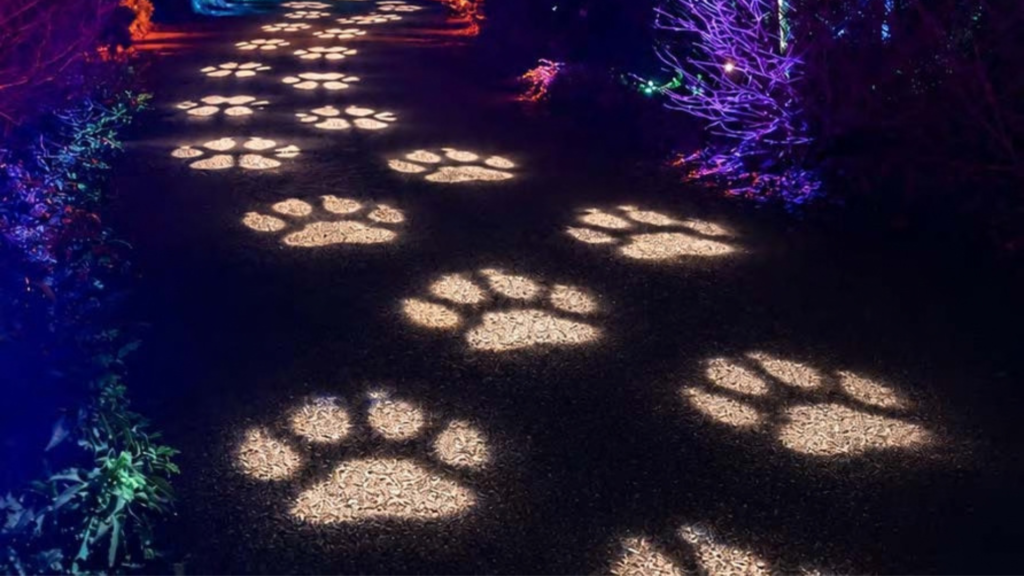 Knowsley Safari’s Enchanted Christmas light trail returns for 2026