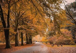 Liverpool residents enjoy some of England’s best access to green spaces