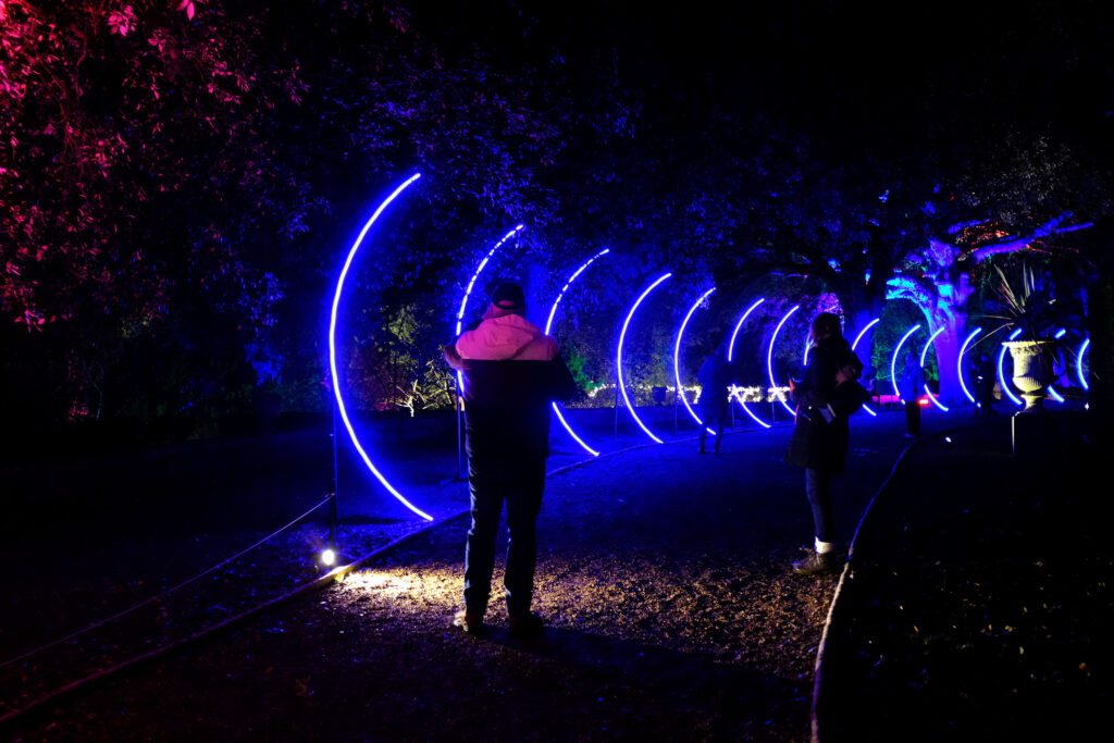 Knowsley Safari’s Enchanted Christmas light trail returns for 2026
