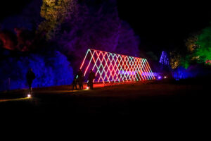 Knowsley Safari’s Enchanted Christmas light trail returns for 2026